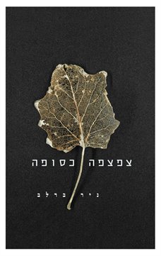 צפצפה כסופה