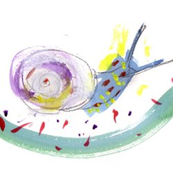 snail1