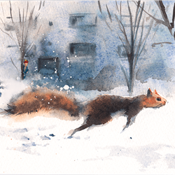 SquirrelAllIllustrations_3